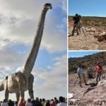 The world's largest dinosaur is more than ten elephants