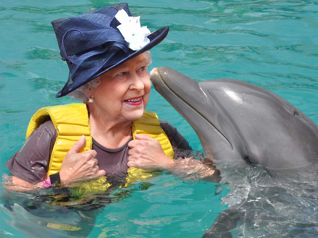 Queen Elizabeth II was the owner of the Dolphins in the United Kingdom