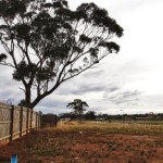 'Iqra' Village in Australia announced the establishment of first Muslim housing estate