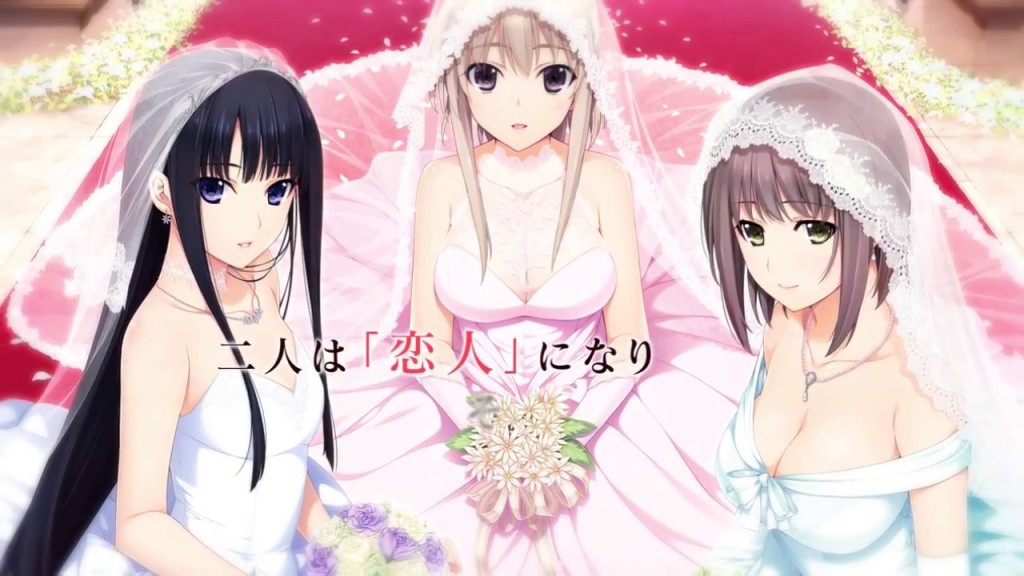 The game's name is xCation Niitzuma Lovely, three virtual character or girls in whom you can marry