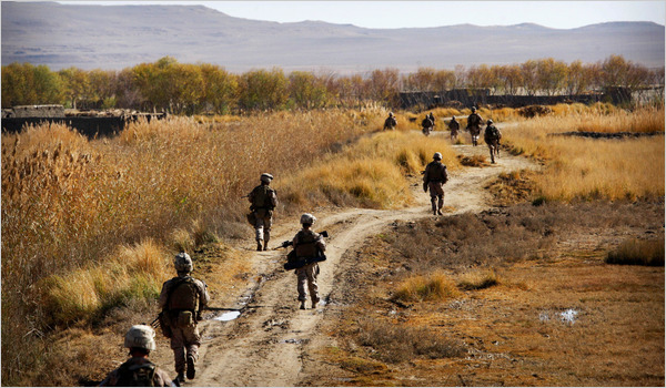 افغان فورسز کا آپریشن جاری، مزید 36 طالبان جنگجو ہلاک