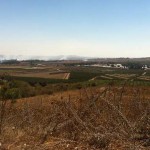 JAN front over the Golan border