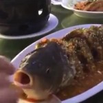 A restaurant in the UK fried fish alive