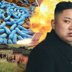 North Korea has 13 types of biological weapons