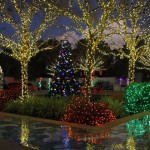 The Florida botanical garden is also decorated with one million LED lights