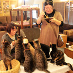 Tokyo Cafe for animals, people focus