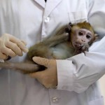 Chinese pharmaceutical company injects vaccine 7 days after coronavirus was added to monkeys