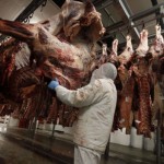 Denmark's government banned the slaughter of animals